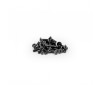 RC10B7/D Titanium Screw Set Lower Black