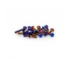 B6.4 Ti Screw Set, Lower - Blue (26pcs)