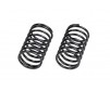 Spring Set 24x40x2.0mm 8 Coils (2pcs)