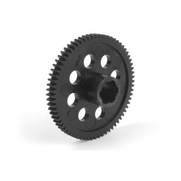 Spur Gear