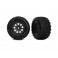 Tires & wheels, assembled (black with satin beadlock wheels, dual pro