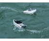 SEA-GOD 6 KARTING BRUSHLESS RTR BOAT 245MM WHITE