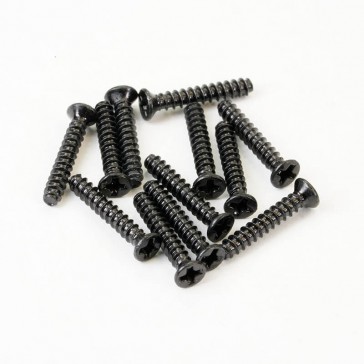 HAVOK FLATHEAD SELF TAPPING SCREWS 2 x 12MM (12pc)