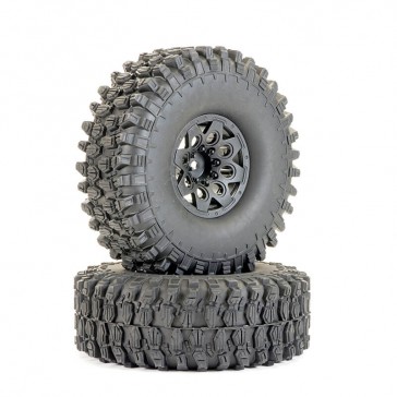 GLADIUS 1.9 BEAD LOCK WHEE L & GATOR TYRE SET ( 120MM )