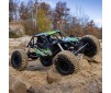 1/8 AXP8 Gilamon 2.2 4X4 RTR Brushed Trail Buggy, Green