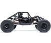 1/8 AXP8 Gilamon 2.2 4X4 RTR Brushed Trail Buggy, Green