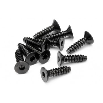 Tp Flat Head Screw M4X15Mm (Hex Socket/10Pcs)