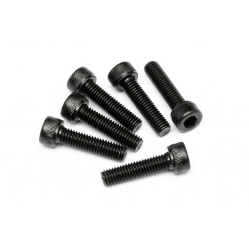 Cap Head Screw M5X20Mm (6Pcs)