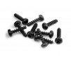 Screw Phillips 2.5X10 (10)