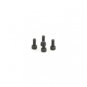 Screw Cap 2.6x6  (4pcs) - X18