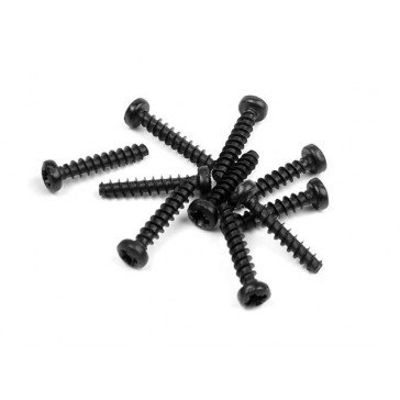 Screw Phillips 2.2X12 (10)