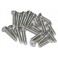 DISC.. Stainless Screw Flat Head 3x20mm (10pcs)