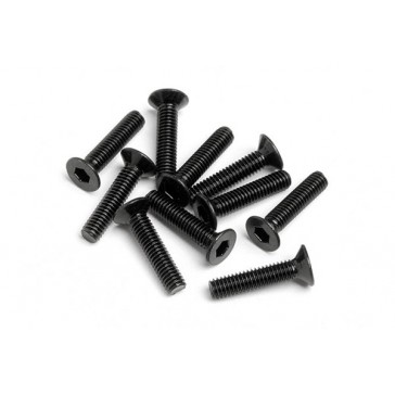 Flat Head Screw M2.5X12Mm (Hexsocket/10Pcs)