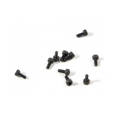 Cap Head Screw M2x5mm (10pcs)