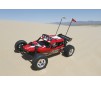 DISC.. Voiture Glamis Fear Four Seat Buggy 1/8 kit RTR