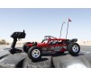 DISC.. Voiture Glamis Fear Four Seat Buggy 1/8 kit RTR