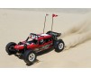 DISC.. Car Glamis Fear Four Seat Buggy-EU/UK