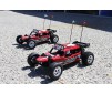 DISC.. Car Glamis Fear Four Seat Buggy-EU/UK