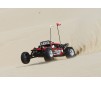 DISC.. Voiture Glamis Fear Four Seat Buggy 1/8 kit RTR