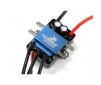 120A BL Marine ESC 2-6S