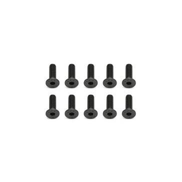 FHCS 4X14MM SCREWS (10)