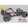 DISC.. Off-Road Buggy WB 535E, 4WD, transparent body