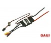 DISC.. GUEC GE-401 ESC 40A with Gold Plated Connectors (Ø3.5mm)(For B