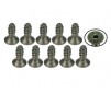 DISC.. M3 x 8 Titanium Flat Head Hex Socket - Machine (10 Pcs)