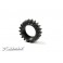 Xca Alu 7075 T6 Hard Coated Pinion Gear - 19T (2Nd)