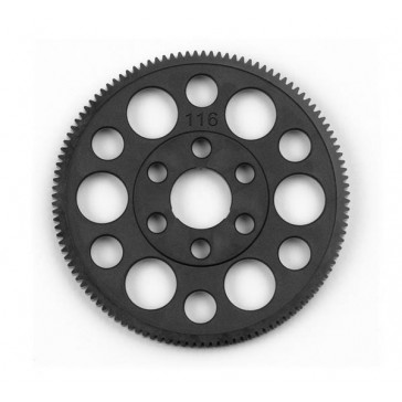 Offset Spur Gear 116T : 64