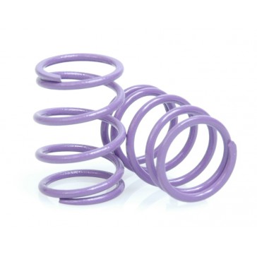 DISC. Pro-Touring Springs - Purple 27 lbs