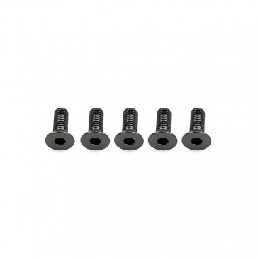 Alloy Csk Hex Screws M3 x 8 pk10