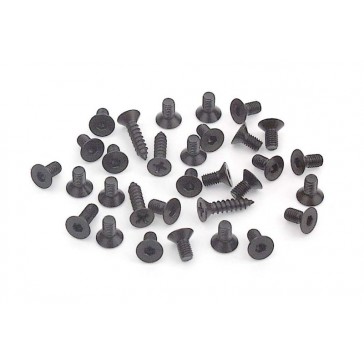 Black Hex And Phillips Screw Set For T1 (31)