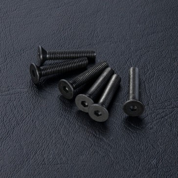 Countersunk screw M3X16 (6)